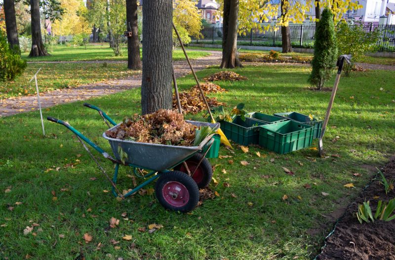 Clearing Vegetation in Spring