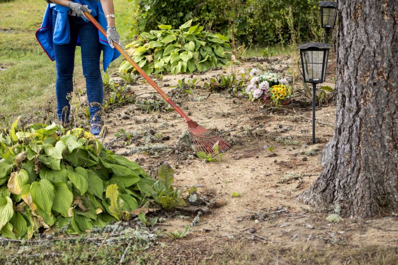 Post-Clearing Cleanup